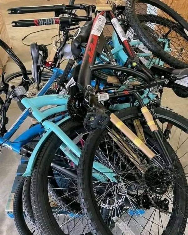 Bicycle pallet - Image 2